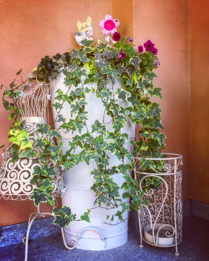 I Grappoli Divini Bed & Breakfast Viarigi Bagian luar foto